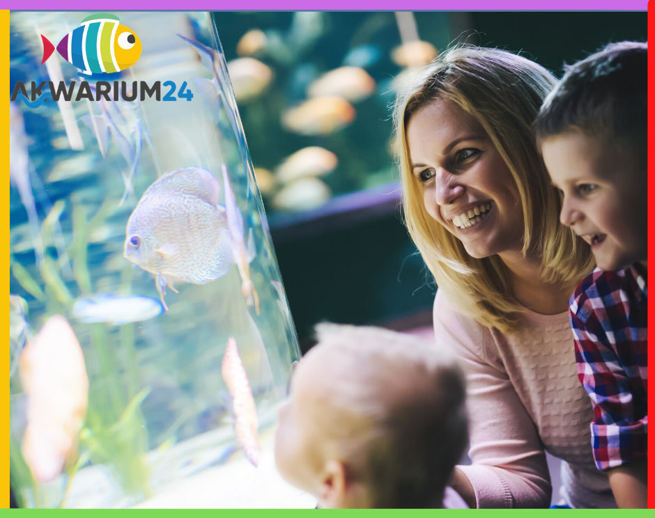 Akwarystyka sklep